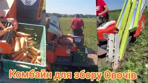 Комбайн для збору Моркви, Буряків і Часнику. - YouTube