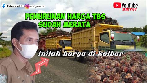 Dampak Kebijakan Pemerintah Harga Sawit Di Kalbar Juga Merosot Petani