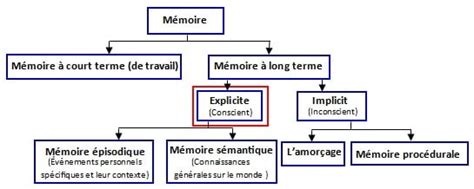 Quest ce que la mémoire épisodique comment l améliorer