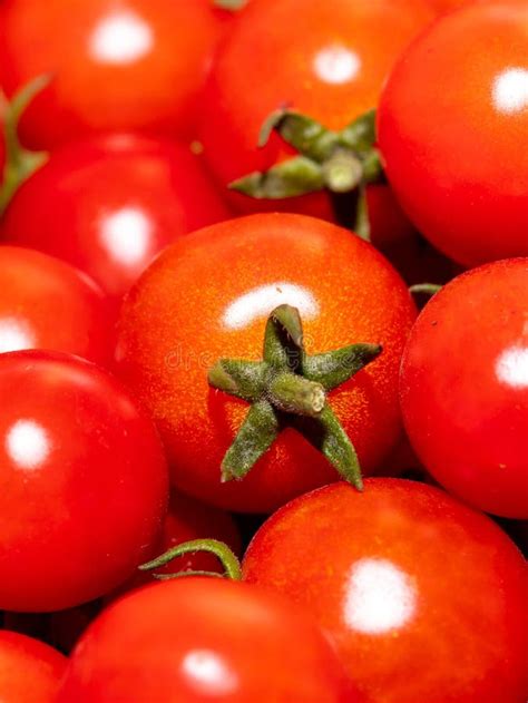 Tomate De Cereja Vermelha Como Pano De Fundo Foto De Stock Imagem De