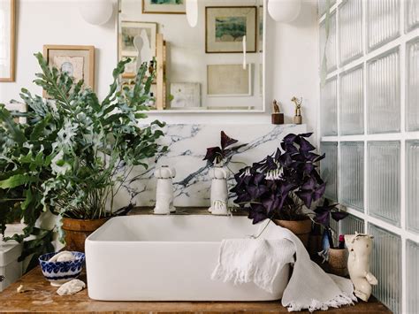 interior decorating with plants – client-alert