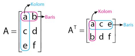 Transpose Matriks Dan Sifat Sifat Matriks Tranpose Idschool Net