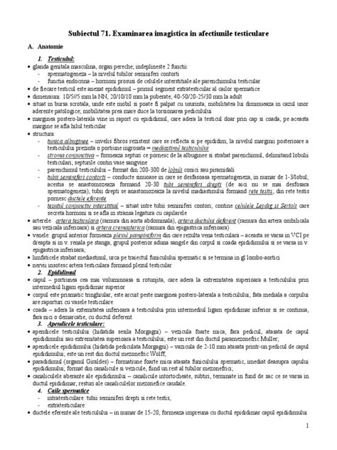 Testiculul | PDF