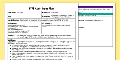 Egg Heads Eyfs Adult Input Plan Teacher Made Twinkl