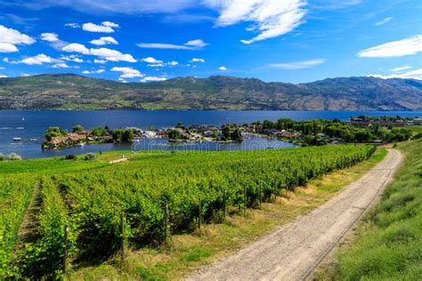 Westbank West Kelowna Okanagan Lake Vineyard Stock Image Image Of