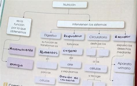 Completa El Siguiente Mapa Conceptual Quien Me Ayuda Porfa Riset