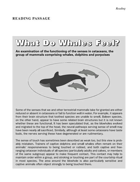What Do Whales Feel Reading Answers 4