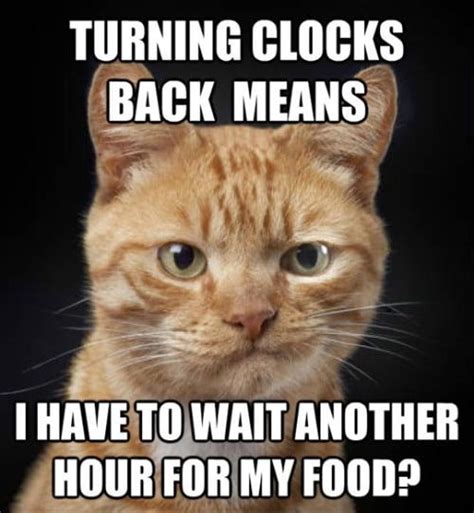 15 Of The Best And Funniest Daylight Savings Time Memes