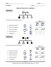 Genetics Practice 4 Pdf Name Period AP Biology Date GENETICS PRACTICE