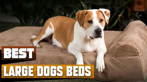 Best Dog Beds For Large Dog In 2024 Top 10 Dog Beds For Large Dogs