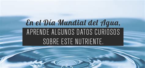 Descubrir 70 Imagen Frases Alusivas Al Dia Mundial Del Agua Abzlocal Mx