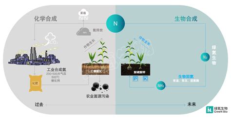 合成生物固氮技术开发平台绿氮生物完成千万元种子轮融资 凤凰网