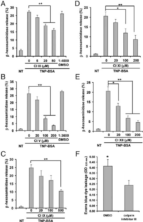 Calpain Activity Is Required For Fc Ri Dependent Mast Cell