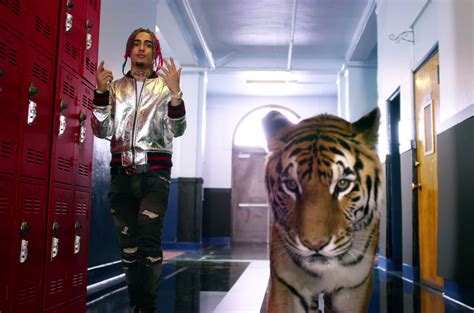 Lil Pump’s ‘Gucci Gang’ Lyrics: How Many Times Is The Title Repeated ...
