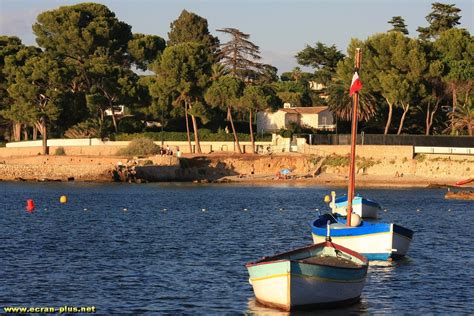 Le Port De L Olivette Cap D Antibes