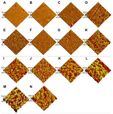 Influence Of Surface Roughness Nanostructure And Wetting On Bacterial