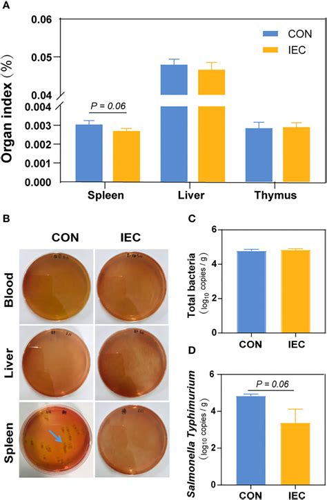 Frontiers Oral Administration Of Heat Inactivated Escherichia Coli