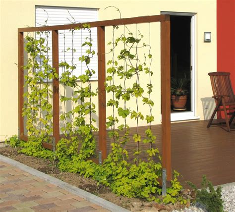 Garden Screen Ideas