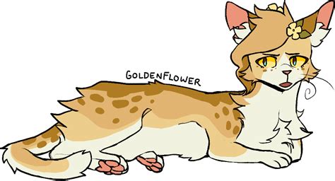 Warrior Cat Designs Changed To A ‘golden Flower And More Spotted