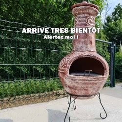 Optez Pour Un Barbecue Mexicain Il Cuit Aussi Vos Pizzas Amadera