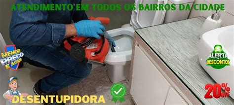 Importancia De Resolver O Entupimento Do Vaso Sanitario Rapidamente