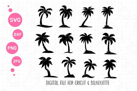 Palm Tree Svg Beach Svg Silhouette Graphic By Foxgrafy Creative