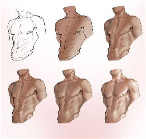 Male Body Types Art Reference