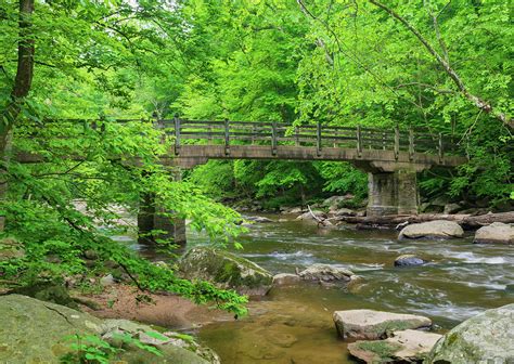 Bridge Over Stream Photograph By Liz Albro Pixels