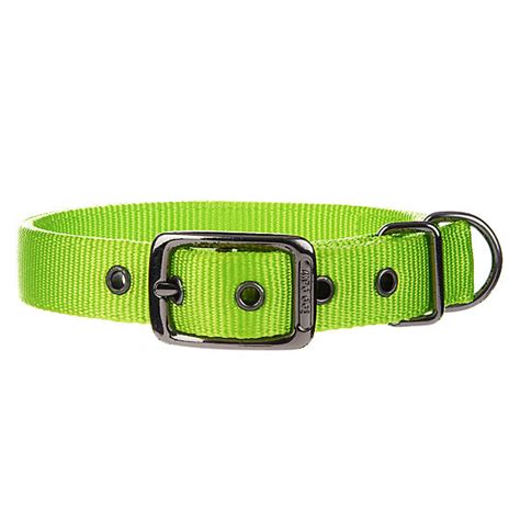 Top Paw® Dog Collar | dog Collars | PetSmart