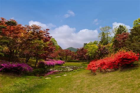 Premium Photo Nami Island In Spring At Chunchon South Korea