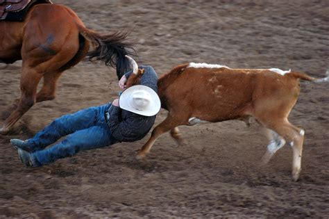 Steer Wrestling | Flickr - Photo Sharing!