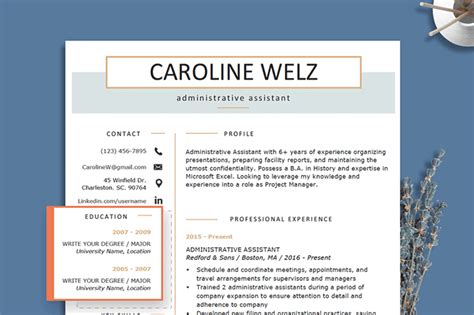 Education Resume Examples And Writing Tips