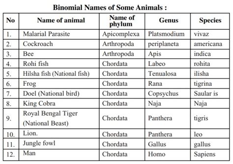 Binomial Nomenclature Examples Of Animals