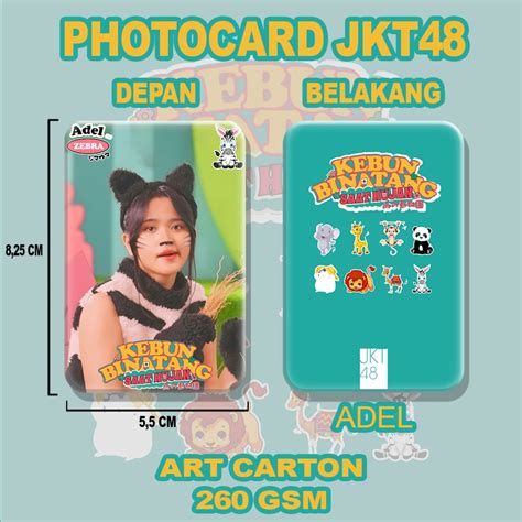 Jual Sunopy Photocard Jkt Kebun Binatang Saat Hujan Foto Card Jkt