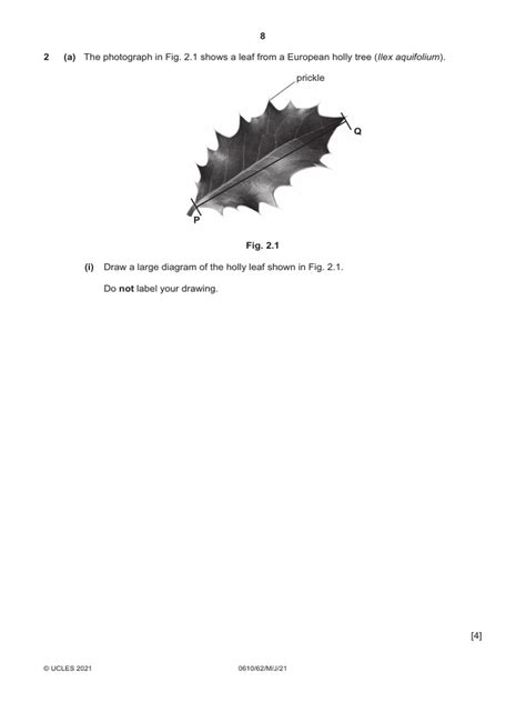 Bio Atp Worksheet Savemyexams Pdf Small Intestine Organ Anatomy