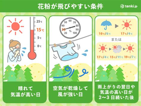 関東 花粉飛散ピーク 連日のように「非常に多い」 雨上がりや暖かい日は要注意気象予報士 小野 聡子 2022年03月14日 日本気象