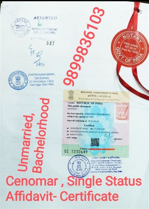 Unmarried Certificate Apostille Service At Rs 1 500 Piece In Delhi