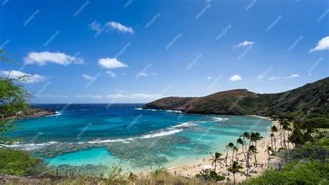 Premium Photo Hanauma Bay Snorkeling Paradise In Hawaii