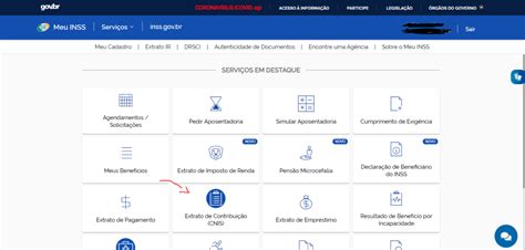 Meu INSS Como Tirar Meu Extrato CNIS Monefica