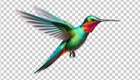 Premium Psd A 3d Hummingbird