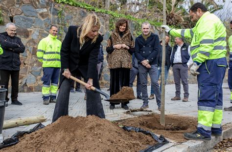 Comienza la reforestación de Huelva para recuperar los árboles perdidos