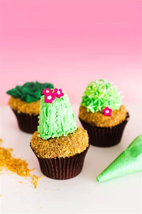 SUCCULENT AND CUPCAKE TUTORIAL DIY WITH TWO LITTLE CATS BAKERY ...
