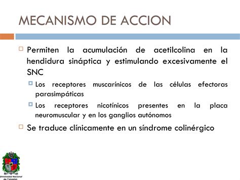 Intoxicacion Inhibidores Colinesterasa Ppt Descarga Gratuita