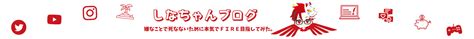 【体験談】「自己理解プログラム」受講の感想と受講後の変化｜迷いのない人生を歩むために（約7000字）｜しなちゃんブログ