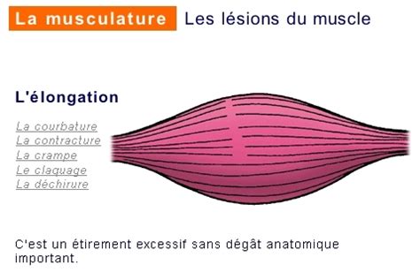 Atteintes de l appareil locomoteur lors d activités physiques SHR en