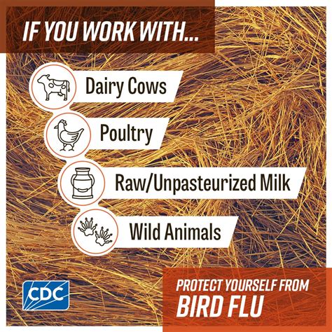 Avian Influenza Social Media Toolkit Bird Flu Cdc