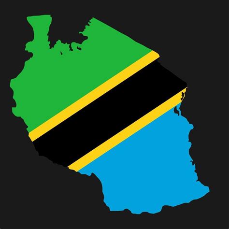 Tanzania Mapa Silueta Con Bandera Sobre Fondo Negro Vector En