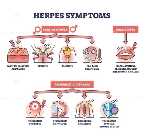 Herpes symptoms with genital, oral and recurrent outbreaks outline ...