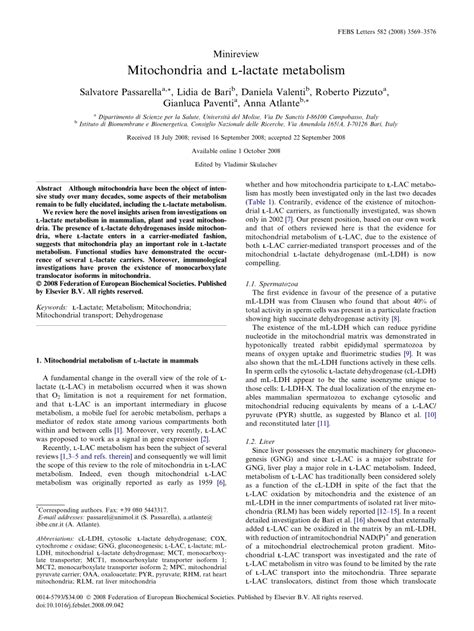 Pdf Mitochondria And L Lactate Metabolism