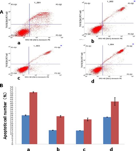 Detection Of Apoptosis In Four Experimental Groups At Different Time